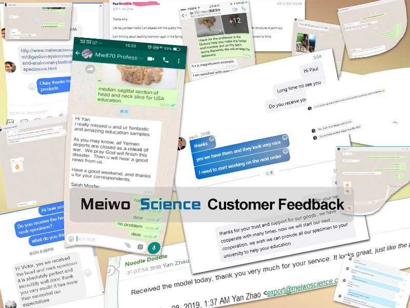 product-800-600 product-800-600